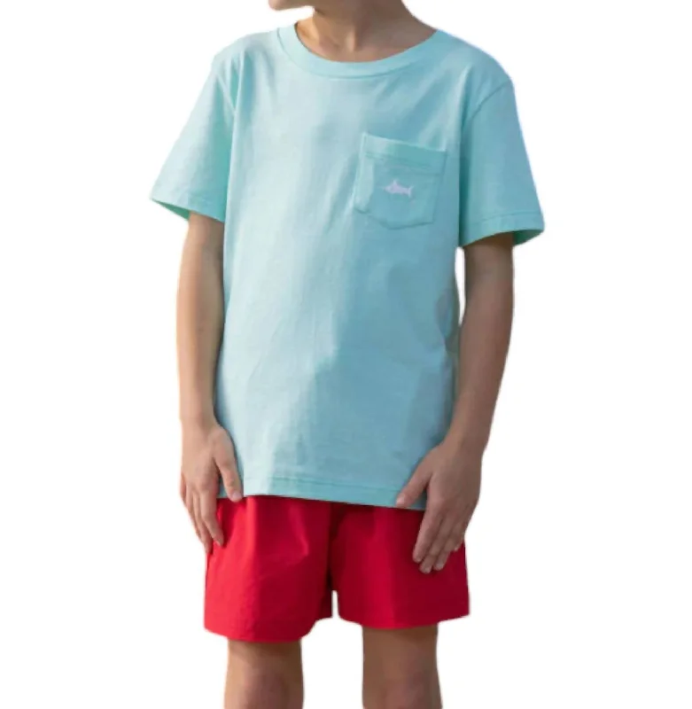 Men's Shirts with Graphic PrintsSnapper Pocket Tee In Mint